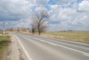 TM_06_ Biled - 18 ha