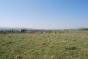 CS_06_Caransebes - 90 ha